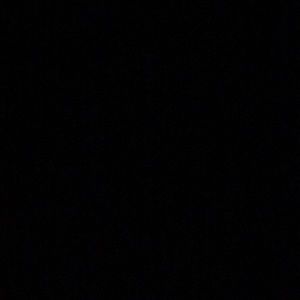 Meet your Posher, Delana